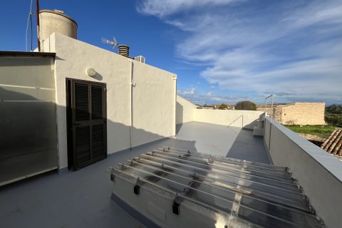 Apartment for rent in Muro, Mallorca, Spain 2 bedrooms, 125 sq.m. No. 168703 - photo 9