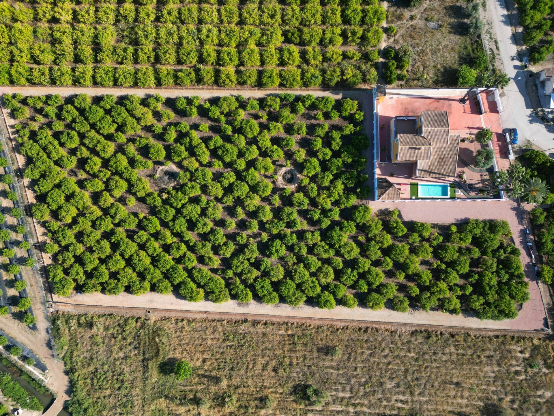 Finca à Orihuela, Alicante, Espagne 5 chambres, 495 m2 No. 151837