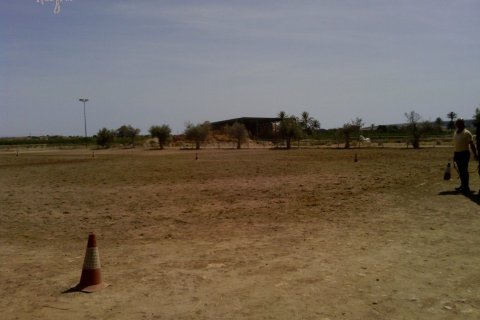 Komerciāls īpašums pārdošanā Elche, Alicante, Spānijā 3 istabas, 705 m2 Nr. 116489 - attēls 21