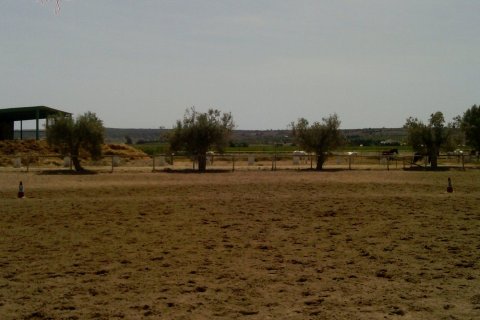 Komerciāls īpašums pārdošanā Elche, Alicante, Spānijā 3 istabas, 705 m2 Nr. 116489 - attēls 19