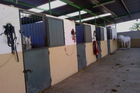 Komerciāls īpašums pārdošanā Elche, Alicante, Spānijā 3 istabas, 705 m2 Nr. 116489 - attēls 15