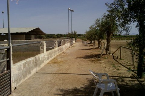 Komerciāls īpašums pārdošanā Elche, Alicante, Spānijā 3 istabas, 705 m2 Nr. 116489 - attēls 14