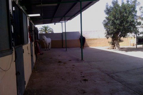 Komerciāls īpašums pārdošanā Elche, Alicante, Spānijā 3 istabas, 705 m2 Nr. 116489 - attēls 10