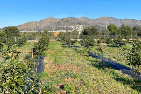 Villa zum Verkauf in Benidoleig, Alicante, Spanien 5 Schlafzimmer, Nr. 157615 - Foto 4