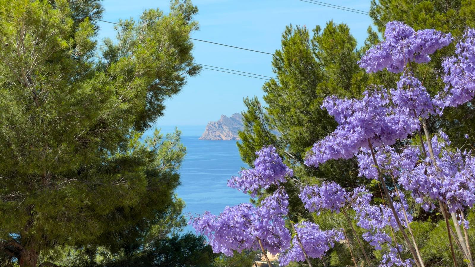 Wohnung in Zona Altea Hills, Alicante, Spanien 3 Schlafzimmer, 180 m2 Nr. 166692