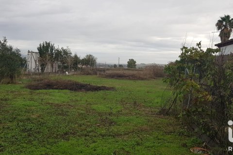 Land plot for sale in Cordoba, Spain No. 193502 - photo 2
