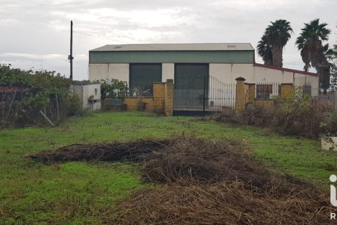 Land plot for sale in Cordoba, Spain No. 193502 - photo 5