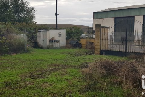 Land plot for sale in Cordoba, Spain No. 193502 - photo 4