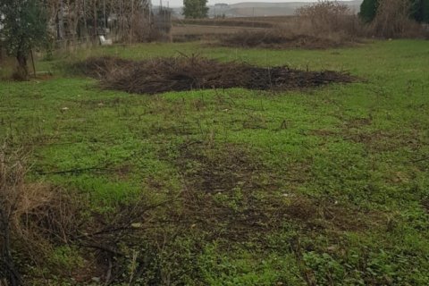 Land plot for sale in Cordoba, Spain No. 193502 - photo 3