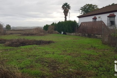 Land plot for sale in Cordoba, Spain No. 193502 - photo 6