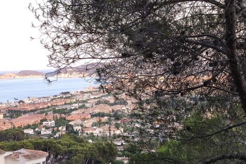 Tontti myytävänä Javea, Alicante, Espanja , 1027 m2 No. 157909 - kuva 3