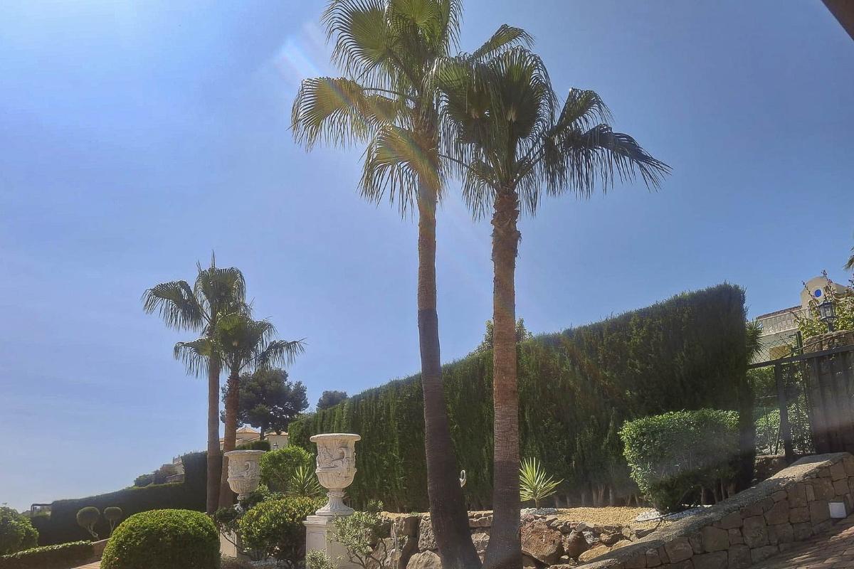 Villa in Pedreguer, Alicante, Spain 6 bedrooms, 444 sq.m. No. 148941