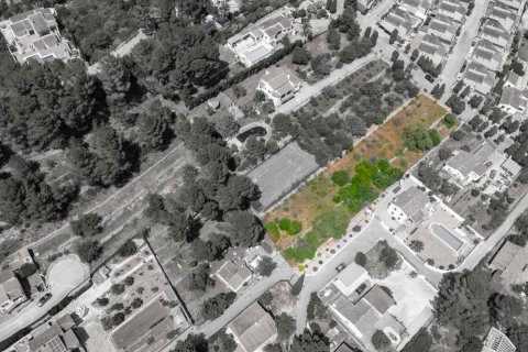 Willa w Alcalali, Alicante, Hiszpania 3 sypialnie, 198 mkw. nr 148936 – zdjęcie 15