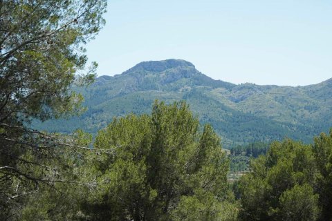 Willa w Alcalali, Alicante, Hiszpania 3 sypialnie, 198 mkw. nr 148936 – zdjęcie 26