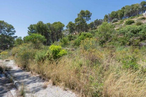 Willa w Alcalali, Alicante, Hiszpania 3 sypialnie, 198 mkw. nr 148936 – zdjęcie 24