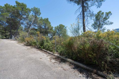 Willa w Alcalali, Alicante, Hiszpania 3 sypialnie, 198 mkw. nr 148936 – zdjęcie 29