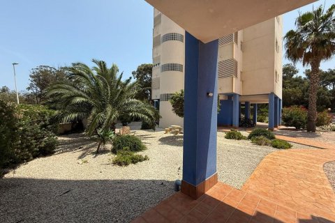 Wohnung zum Verkauf in Guardamar del Segura, Alicante, Spanien 3 Schlafzimmer, 71 m2 Nr. 148937 - Foto 28
