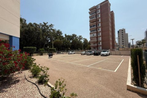Wohnung zum Verkauf in Guardamar del Segura, Alicante, Spanien 3 Schlafzimmer, 71 m2 Nr. 148937 - Foto 30