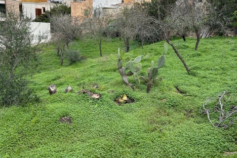 Działka w Palma de Majorca, Mallorca, Hiszpania 301 mkw. nr 146303 – zdjęcie 1