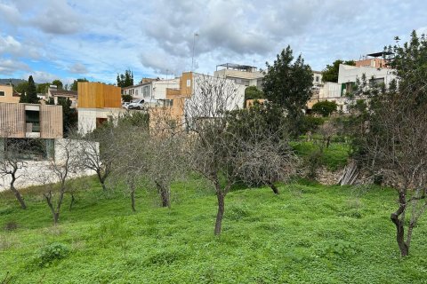 Działka w Palma de Majorca, Mallorca, Hiszpania 301 mkw. nr 146306 – zdjęcie 1