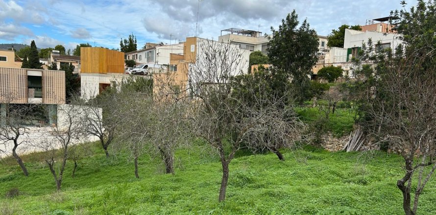 Działka w Palma de Majorca, Mallorca, Hiszpania 301 mkw. nr 146306