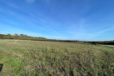 Parcela en venta en Muro, Mallorca, España 15325 m2 No. 146301 - foto 1