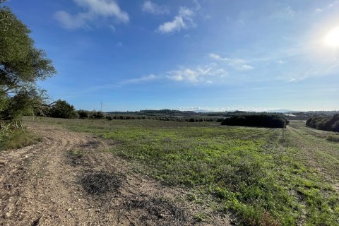 Parcela en venta en Muro, Mallorca, España 15325 m2 No. 146301 - foto 5