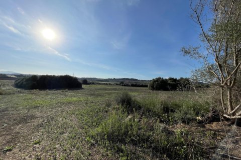 Parcela en venta en Muro, Mallorca, España 15325 m2 No. 146301 - foto 4