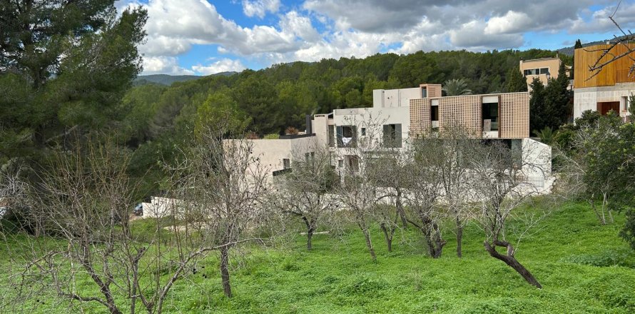 Działka w Palma de Majorca, Mallorca, Hiszpania 300 mkw. nr 146305