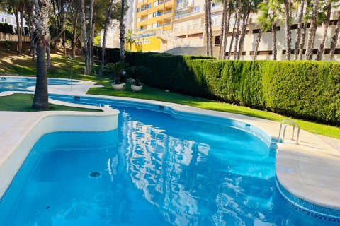 Apartamento en venta en Cabo Roig, Alicante, España 1 dormitorio, 45 m2 No. 184266 - foto 3