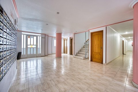 Penthouse for sale in Torrevieja, Alicante, Spain 3 bedrooms, 70 sq.m. No. 184262 - photo 3