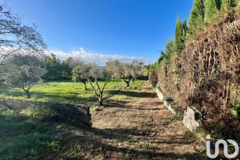 Terreno in vendita a Sant Llorenc D'hortons, Barcelona, Spagna 1200 mq. N° 153648 - foto 9