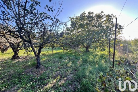 Terreno in vendita a Sant Llorenc D'hortons, Barcelona, Spagna 1200 mq. N° 153648 - foto 19