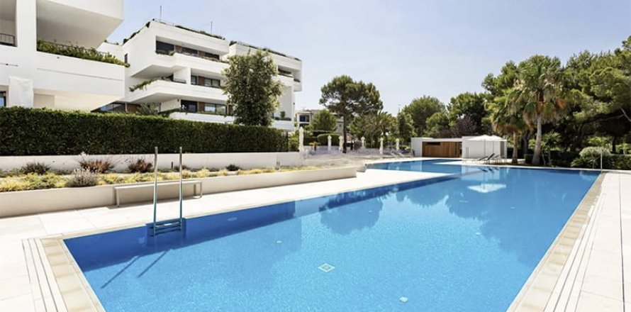 Lägenhet i Santa Ponsa, Mallorca, Spanien 3 sovrum, 322 kvm. Nr. 143774