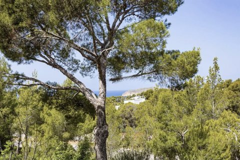 Lägenhet till salu i Santa Ponsa, Mallorca, Spanien 3 sovrum, 322 kvm. Nr. 143774 - foto 11