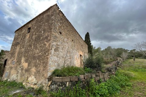 Finca myytävänä Santa Eugenia, Mallorca, Espanja, 3 makuuhuonetta, 166 m2 No. 155201 - kuva 15