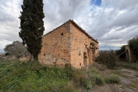 Finca myytävänä Santa Eugenia, Mallorca, Espanja, 3 makuuhuonetta, 166 m2 No. 155201 - kuva 20