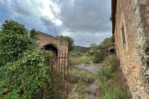 Finca myytävänä Santa Eugenia, Mallorca, Espanja, 3 makuuhuonetta, 166 m2 No. 155201 - kuva 6