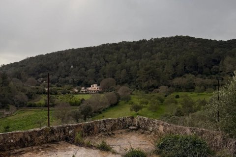 Finca myytävänä Santa Eugenia, Mallorca, Espanja, 3 makuuhuonetta, 166 m2 No. 155201 - kuva 27