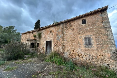 Finca Santa Eugenia, Mallorca, Espanja 3 makuuhuonetta, 166 m2 No. 155201