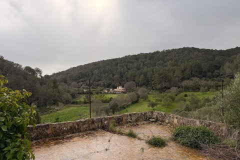 Finca myytävänä Santa Eugenia, Mallorca, Espanja, 3 makuuhuonetta, 166 m2 No. 155201 - kuva 26