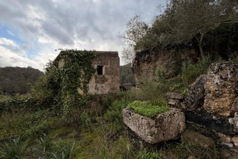 Finca myytävänä Santa Eugenia, Mallorca, Espanja, 3 makuuhuonetta, 166 m2 No. 155201 - kuva 18