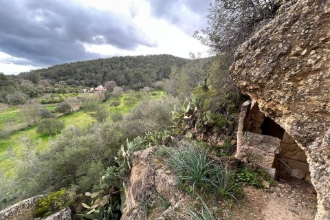 Finca myytävänä Santa Eugenia, Mallorca, Espanja, 3 makuuhuonetta, 166 m2 No. 155201 - kuva 2