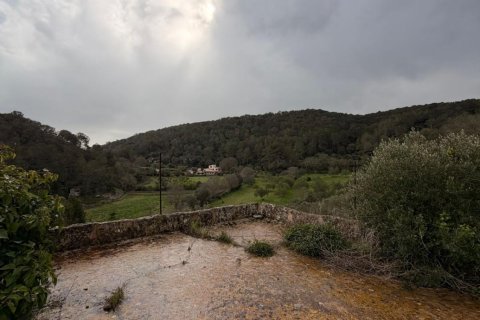 Finca myytävänä Santa Eugenia, Mallorca, Espanja, 3 makuuhuonetta, 166 m2 No. 155201 - kuva 25