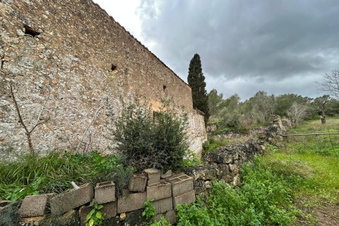 Finca myytävänä Santa Eugenia, Mallorca, Espanja, 3 makuuhuonetta, 166 m2 No. 155201 - kuva 14