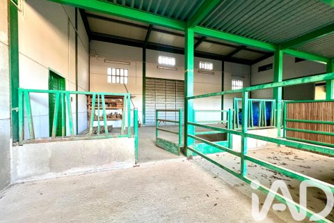 Dom w Masdenverge, Tarragona, Hiszpania 4 sypialnie, 180 mkw. nr 152515 – zdjęcie 24