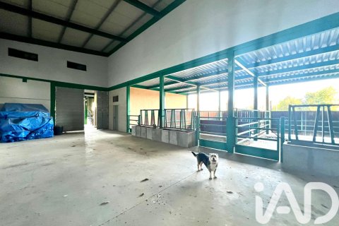 Dom w Masdenverge, Tarragona, Hiszpania 4 sypialnie, 180 mkw. nr 152515 – zdjęcie 26