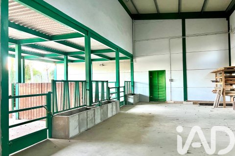 Dom w Masdenverge, Tarragona, Hiszpania 4 sypialnie, 180 mkw. nr 152515 – zdjęcie 2