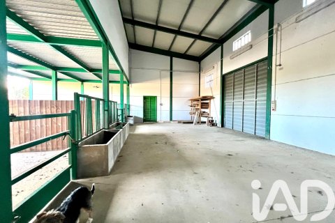 Dom w Masdenverge, Tarragona, Hiszpania 4 sypialnie, 180 mkw. nr 152515 – zdjęcie 29