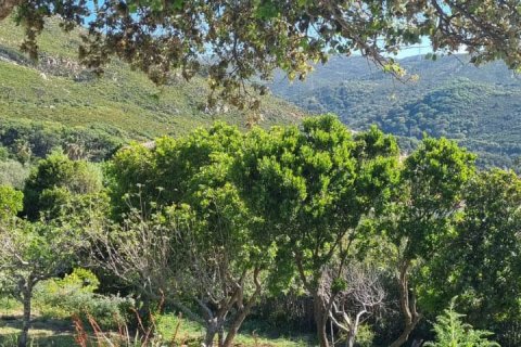 Dom w Tarifa, Cadiz, Hiszpania 4 sypialnie, 166 mkw. nr 152516 – zdjęcie 27